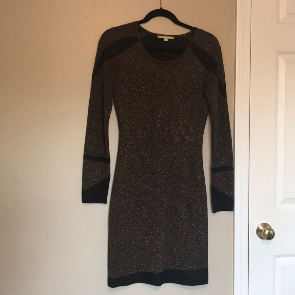 Long Sleeve Gianni Bini Dress